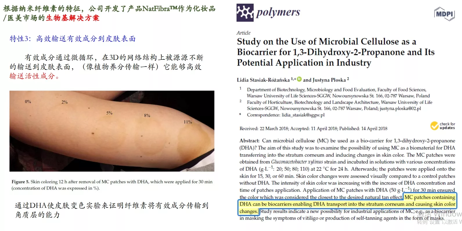 发酵来源细菌纳米纤维素可以显著增加有效成分透过表皮